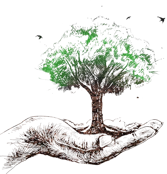 About Image
