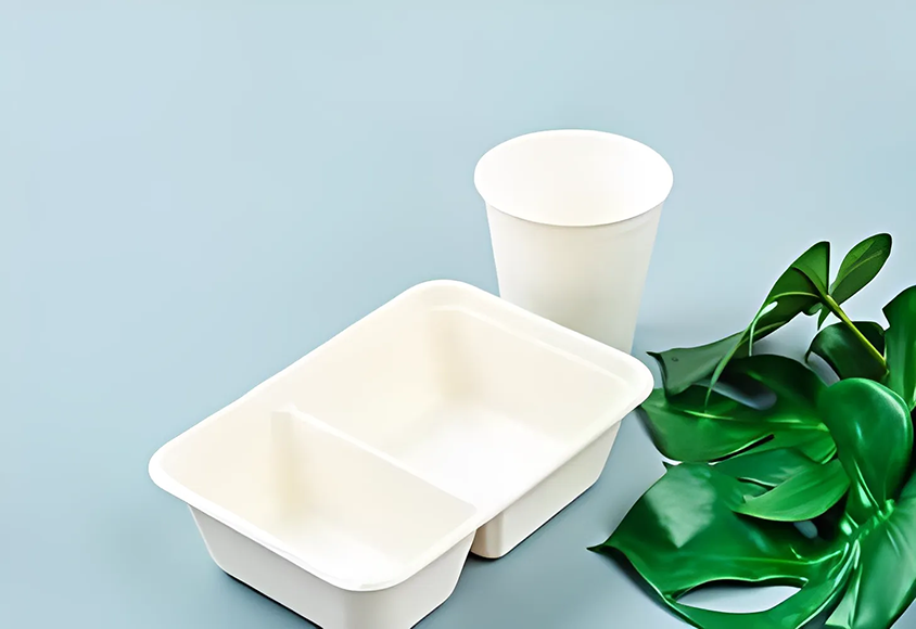 Eco-Friendly Bagasse Tableware Manufacturer in India