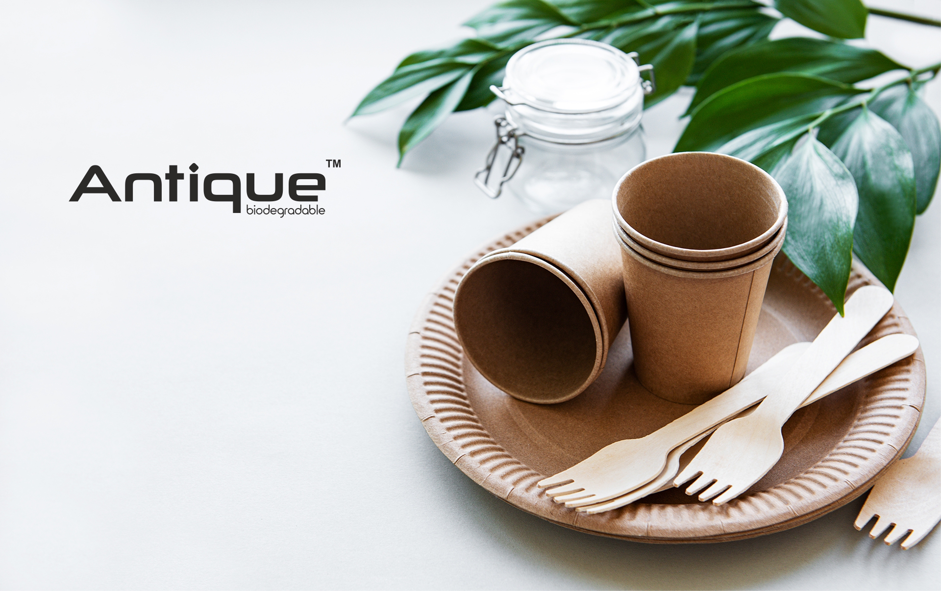 The Benefits Of Using Bagasse Products For A Sustainable Future