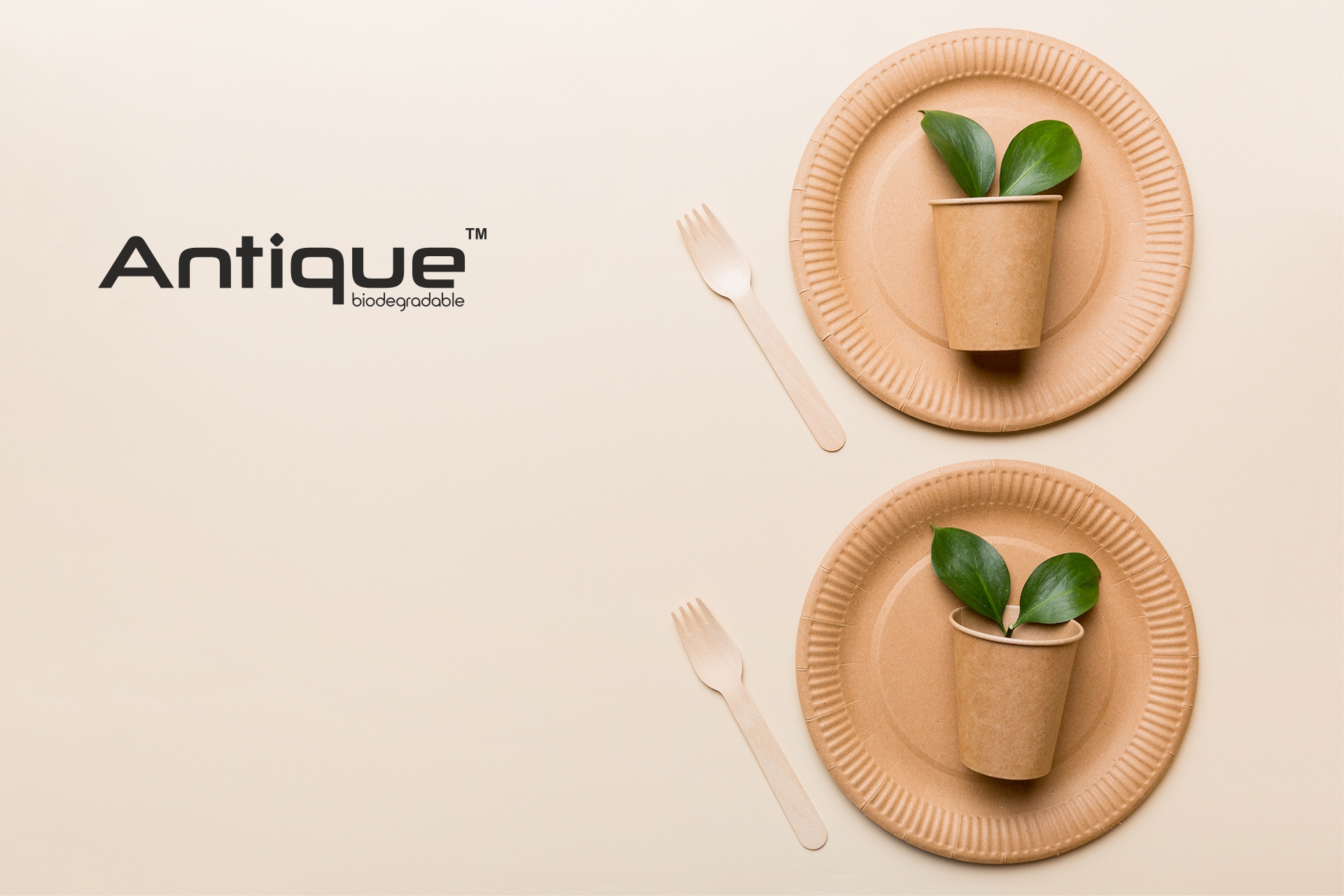 Why Bagasse Is The Eco-friendly Alternative To Traditional Single-use Products?