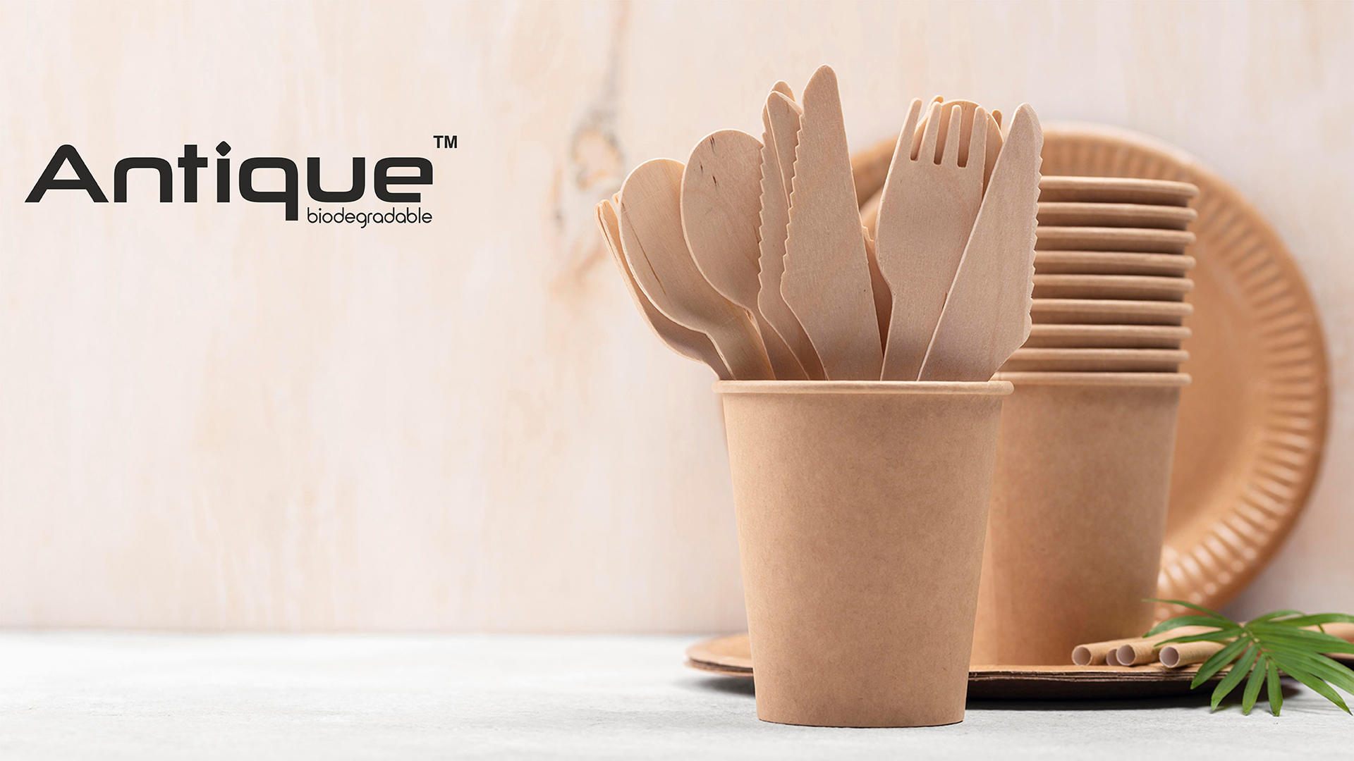 How Bagasse Products Are Revolutionizing The Foodservice Industry?