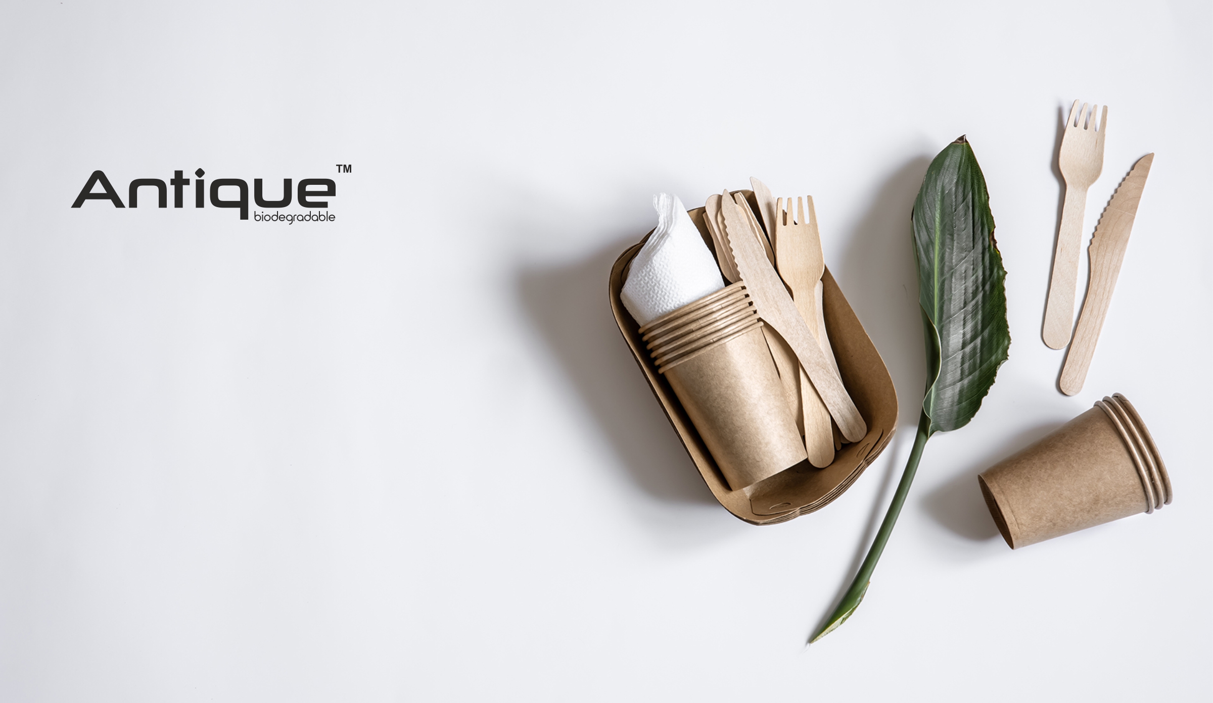 Green Living: Choosing Bagasse Products For A Better Environment