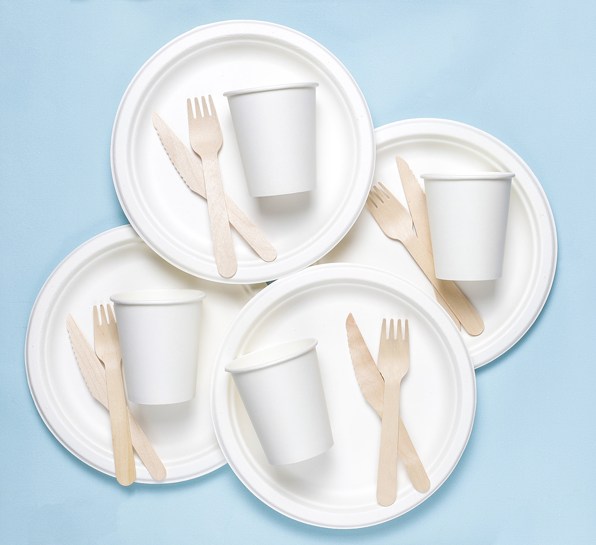 Biodegradable Bagasse Products Exporter in USA