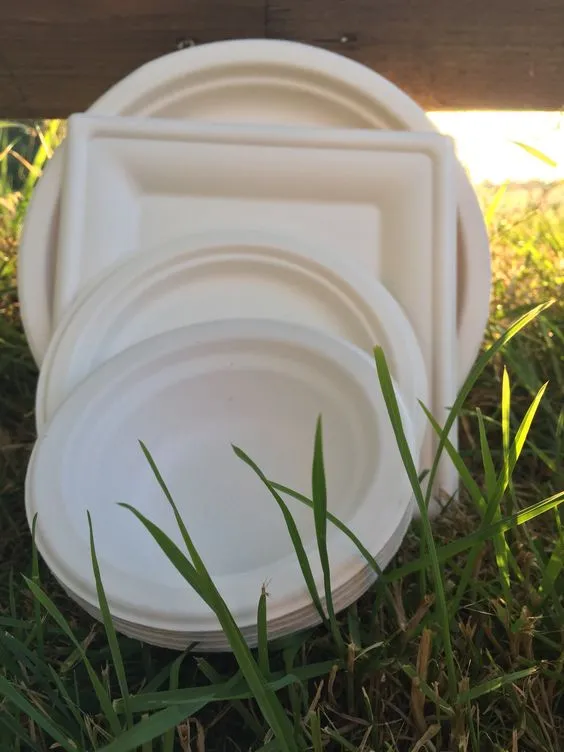 Biodegradable Plate