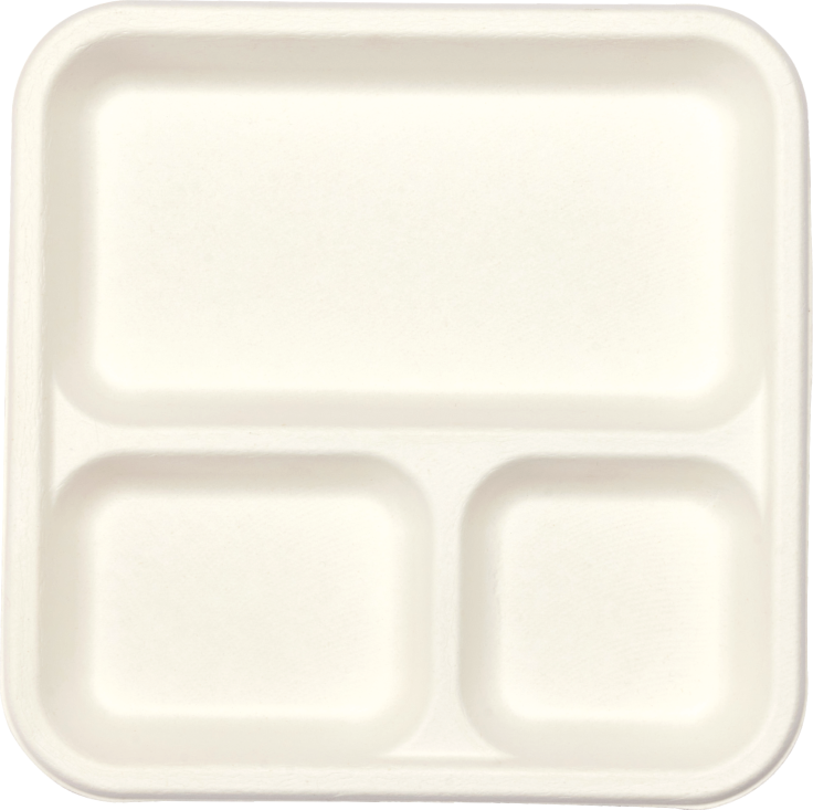 3 Compartment Square Meal Tray