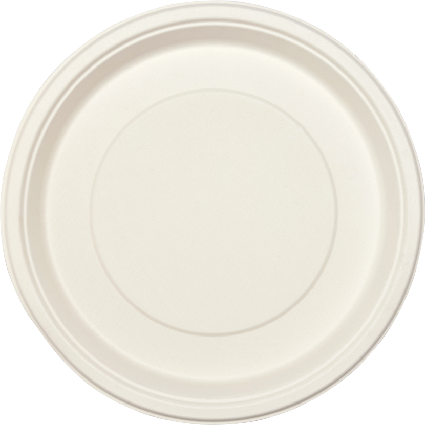 12 Inch Round Plate